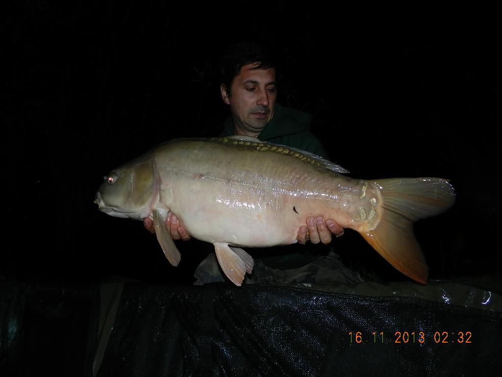 15 noiembrie 2013 - dscn1755.JPG